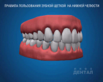 sna_Gigiena_na_nizhney_chelyusti