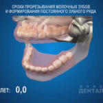 sna_Sroki_prorezyvania_zubov